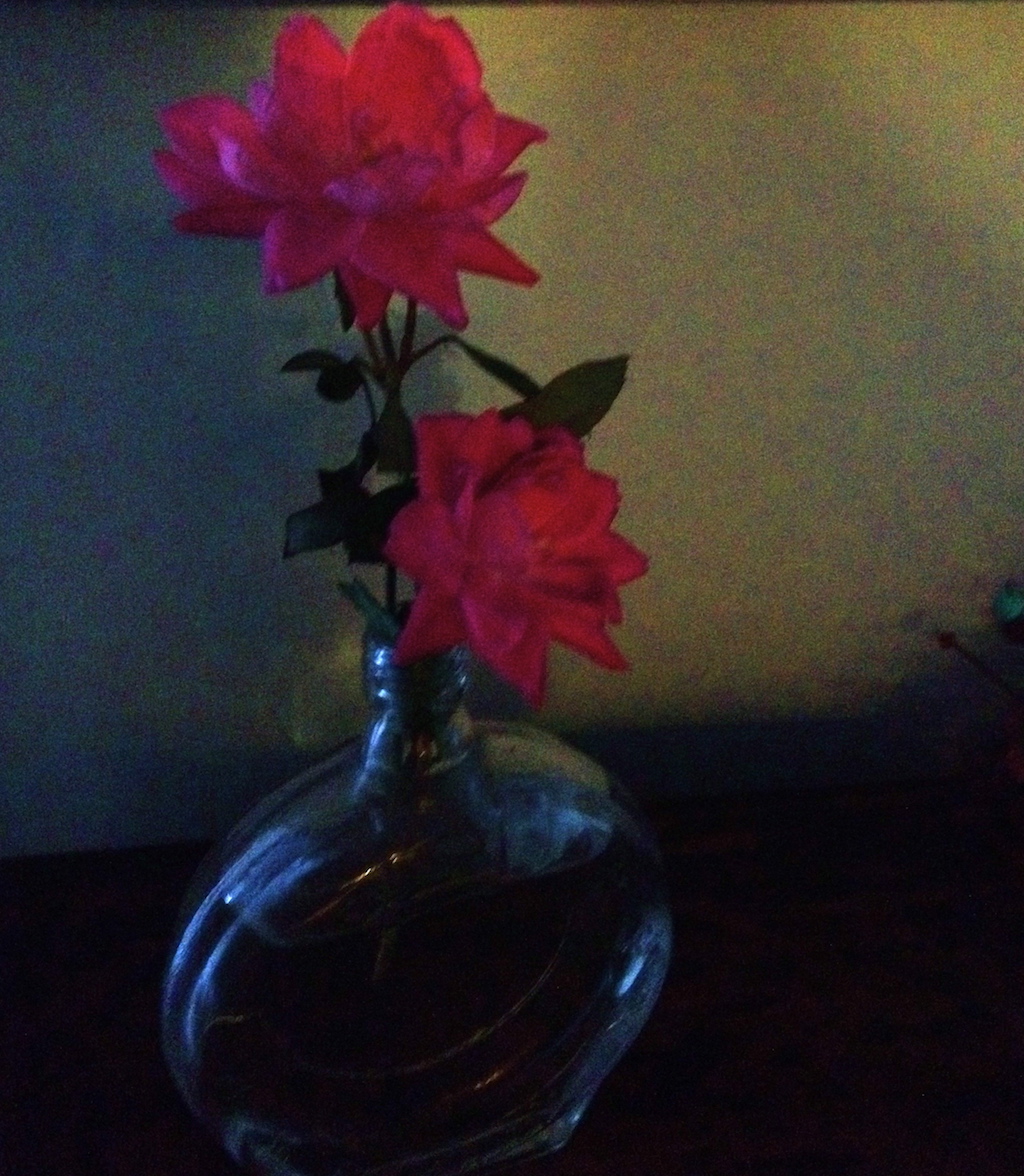 Roses in a Bottle                   